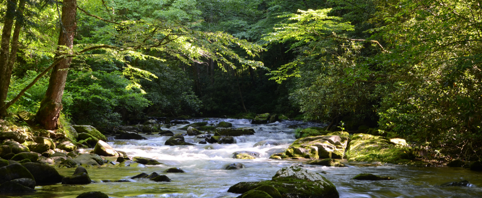 cta-1/Izdelek-brez-naslova-6