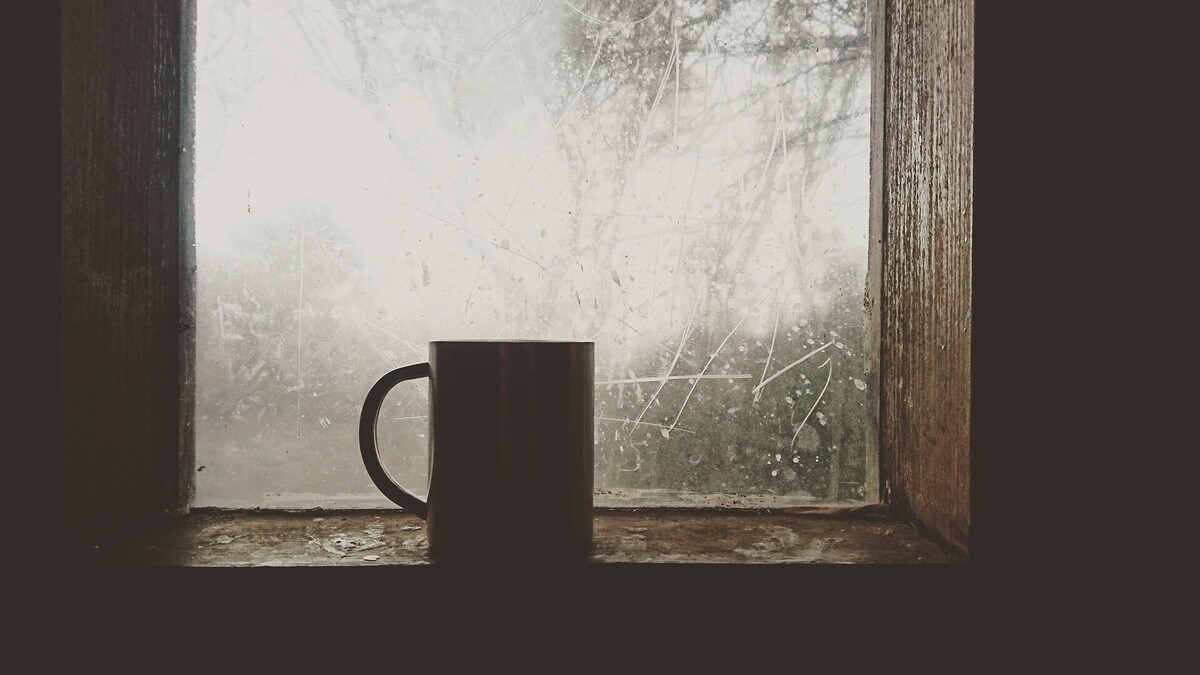 news/israelbest-coffee-1711431