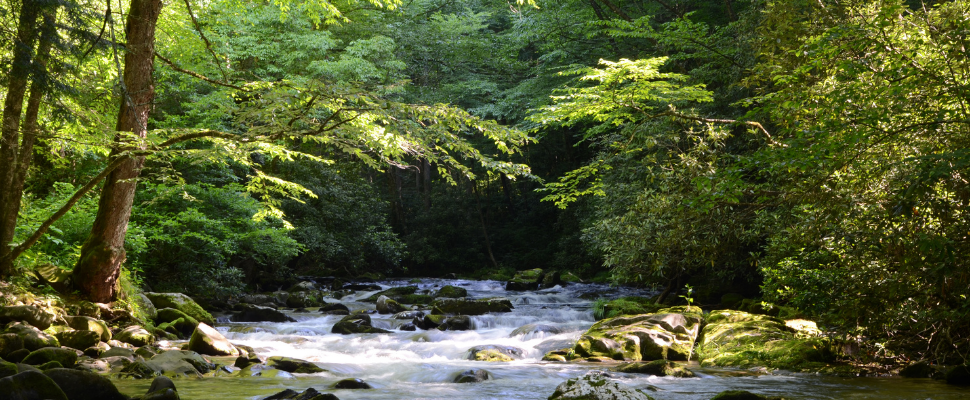 novice-1/Izdelek-brez-naslova-3